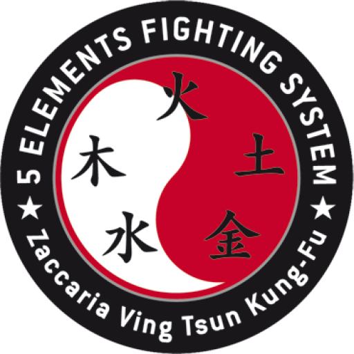 5 ELEMENTS FIGHTING SYSTEM - Logo